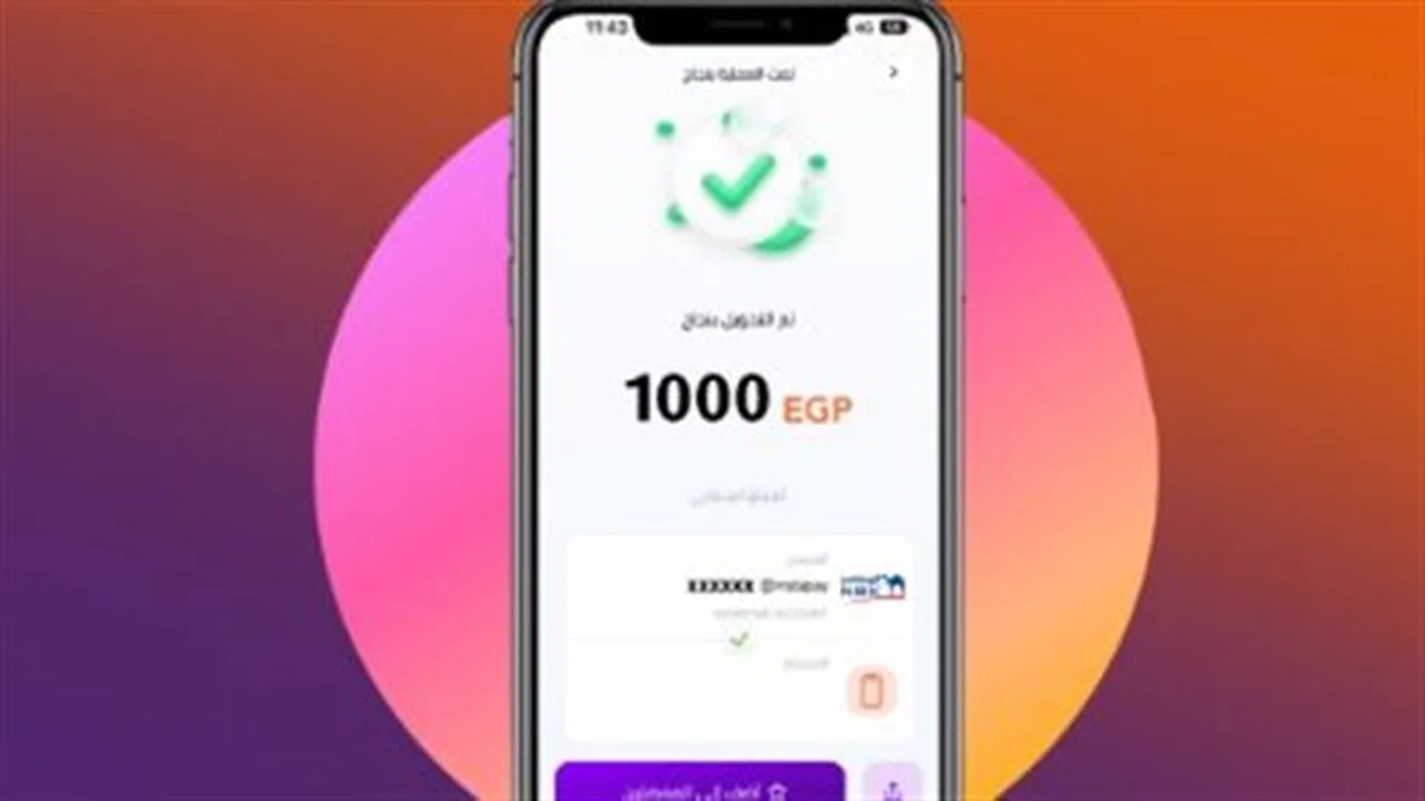 إتاحة خدمات إنستاباي.. تعزيز الشمول المالي دون استهلاك بيانات الهاتف